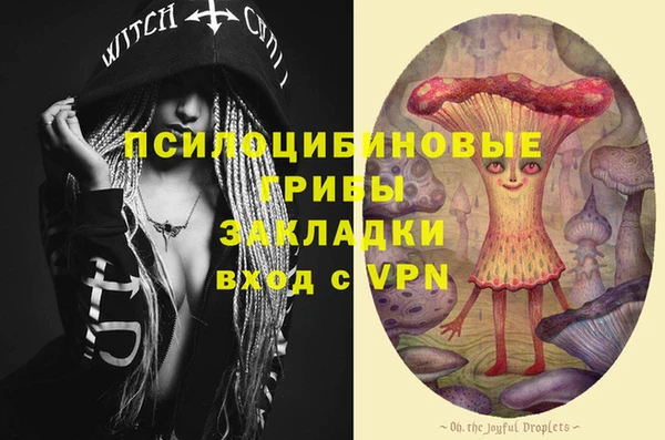 ECSTASY Алексеевка