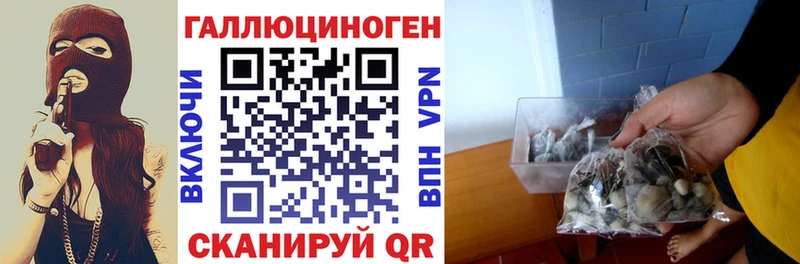 где можно купить   shop как зайти  Псилоцибиновые грибы мицелий  Апатиты 