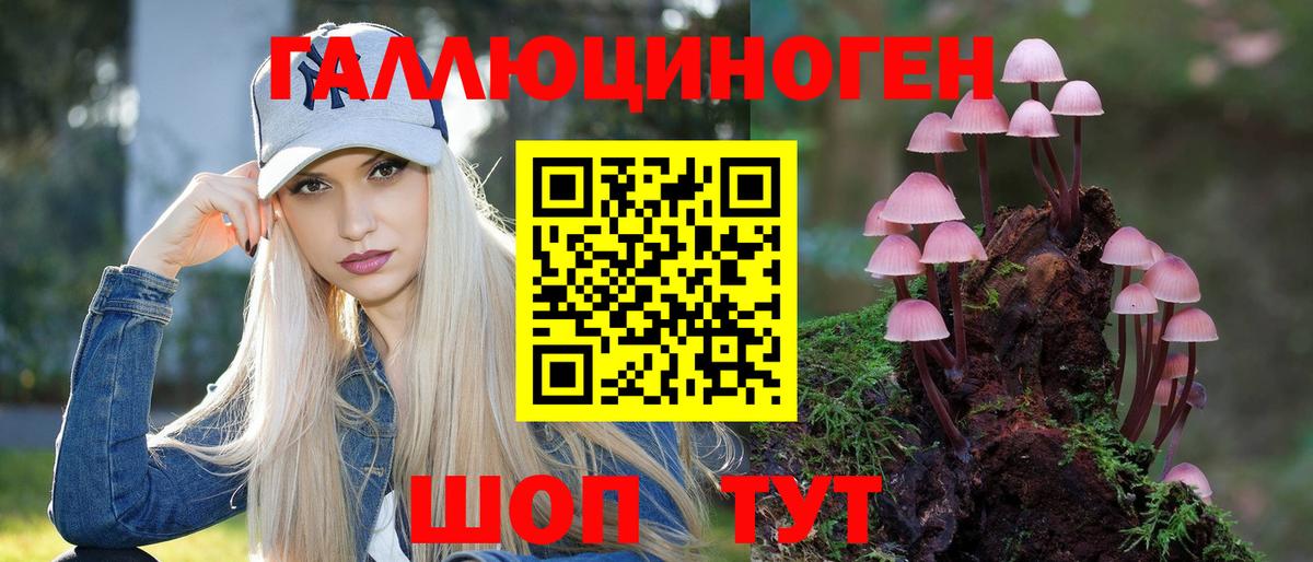 Апатиты  Псилоцибиновые грибы ЛСД  Вход с VPN 
