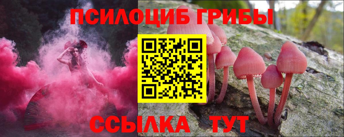 Псилоцибиновые грибы мухоморы Апатиты
